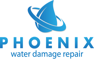 professional water damage restoration